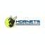 Hornets Basketball Academy