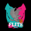 Flite Basketball Club