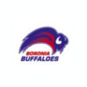 Boronia Buffaloes Basketball Club