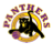 Endeavour Hills Panthers Basketball Club