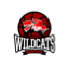Langwarrin Wildcats Basketball Club