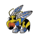 E.Bees Junior Basketball Club