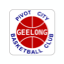 Pivot City Basketball Inc.