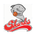 Beaumaris Sharks Basketball Club
