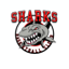 Sharks Basketball Club (Geelong)