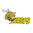 Wasps Basketball Club